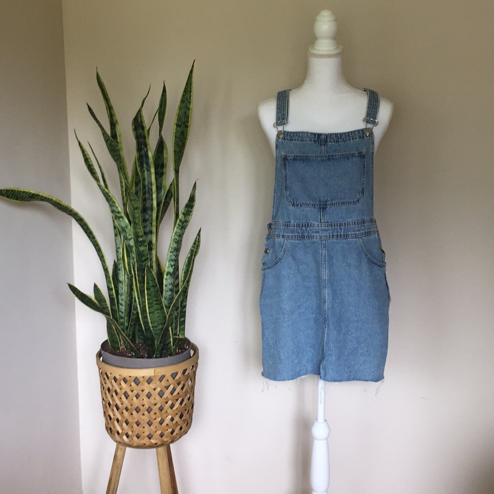 NWT Zara Overall Dress